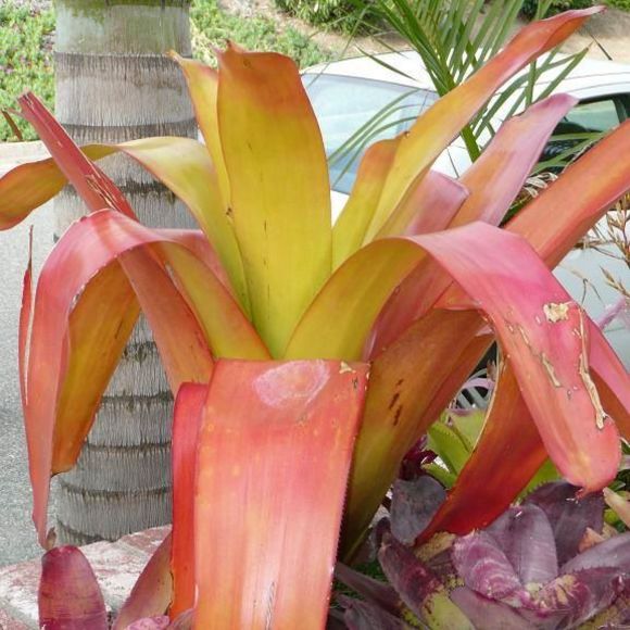 Meet your Posher, Dean - Picture 1 of 1